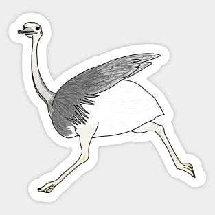 Rhea americana nandou running Sticker